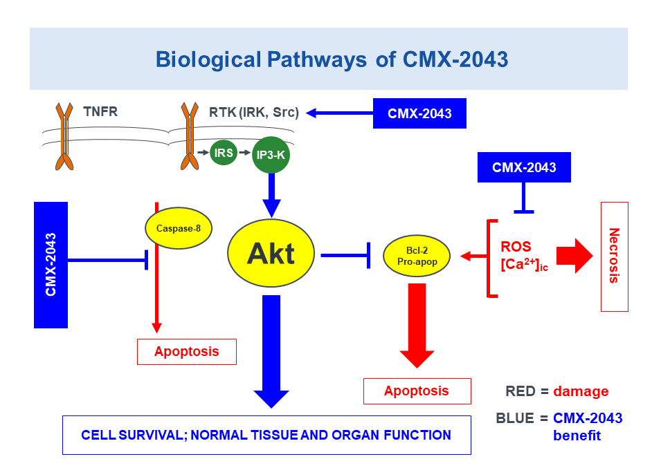 Biological Pathways of CMX-2043 in Traumatic Brain Injury